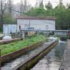 Pisciculture